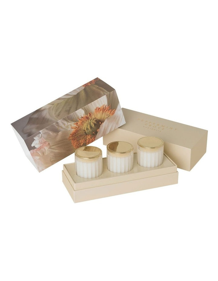 In Bloom Candle Trio